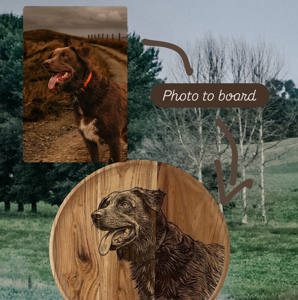 Custom Pet or Horse Portrait Engraved Board