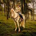 Cowgirl & Equine Photoshoots